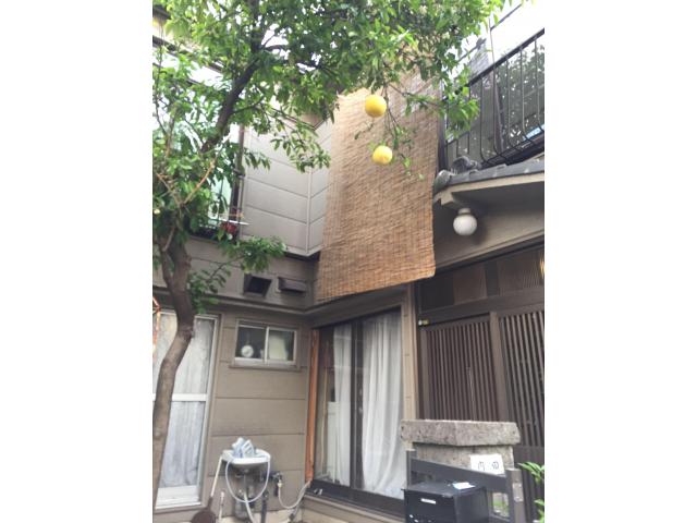 東京都 葛飾区